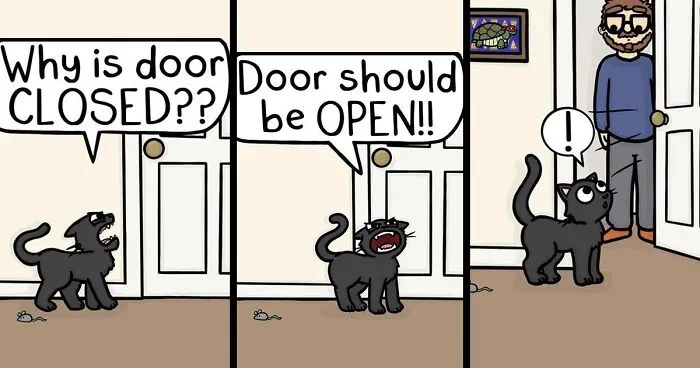 50 Funny And Cute Comics Inspired By The Artist's Life With Her Boyfriend And 3 Cats