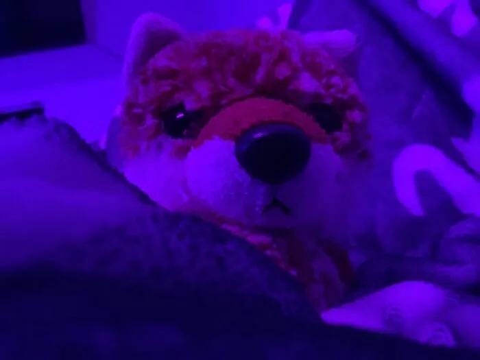 Plush Foxy!