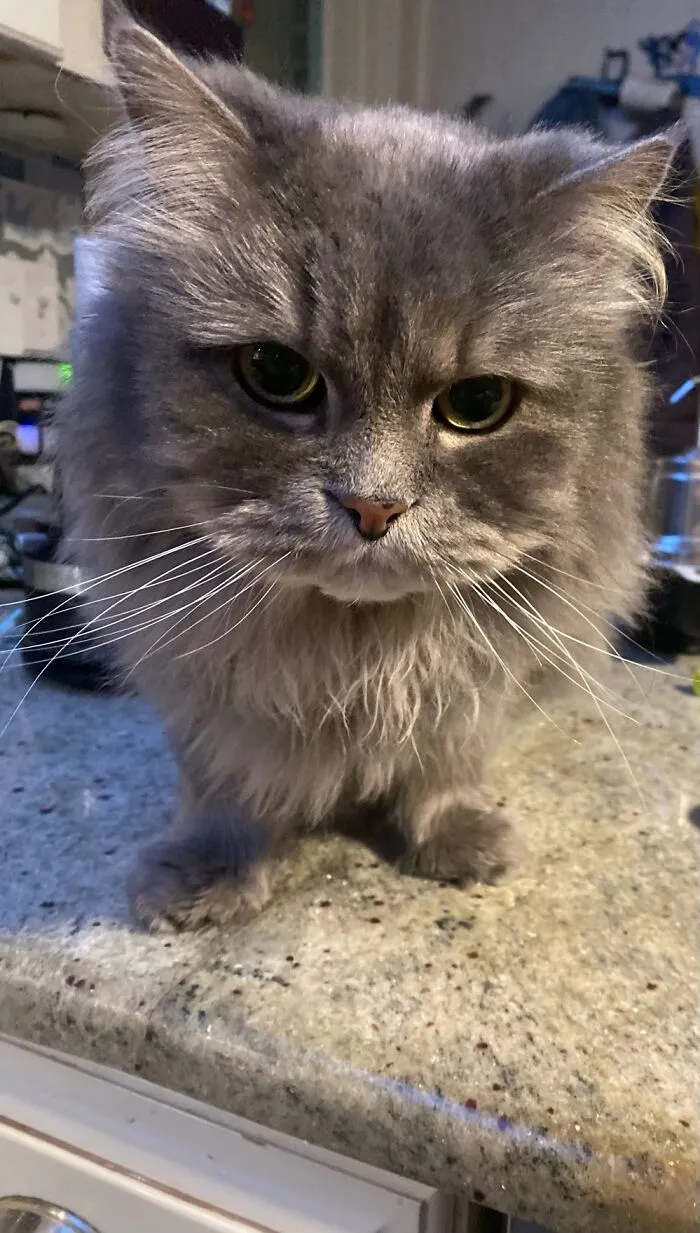 This Is Moses
