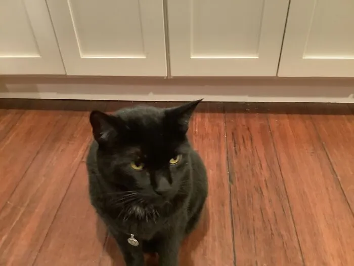 Thor Wants You To Be Happy Soon