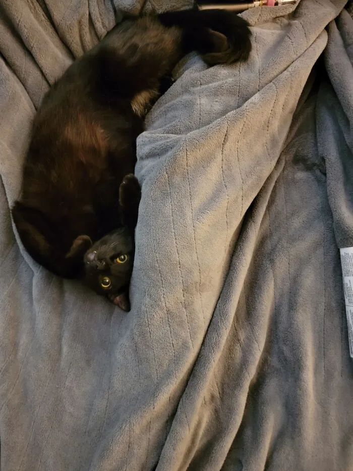 Sammie