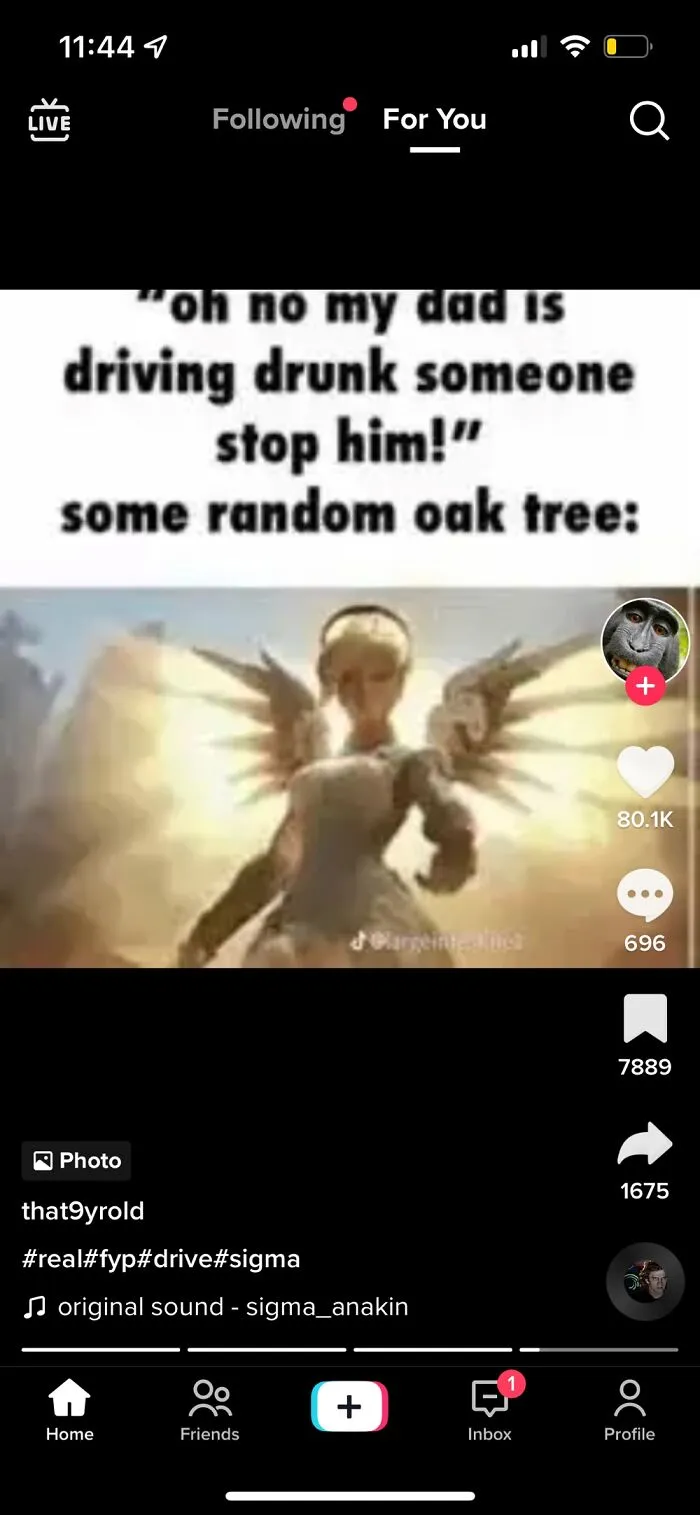Favorite Meme!!