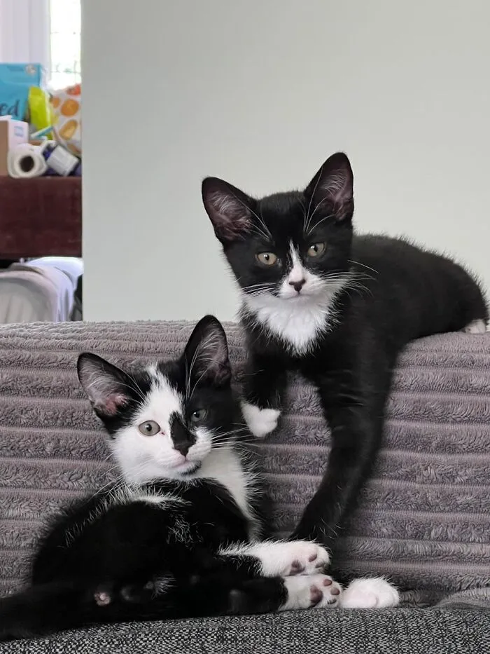 Ash And Ripley - They Stole My Heart The Moment I Saw Them