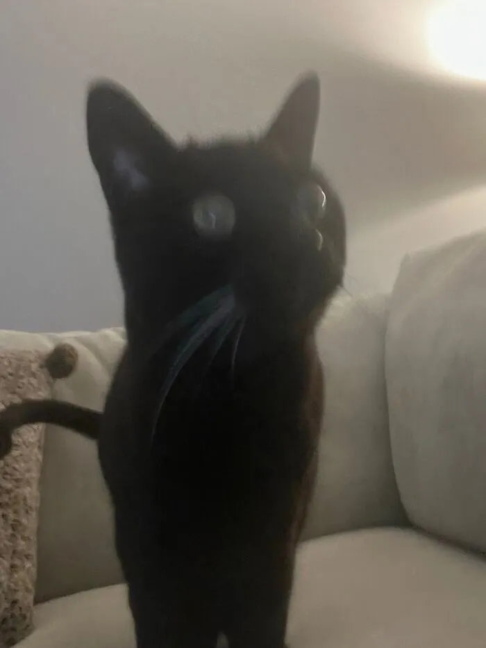 This Is Frey. :)