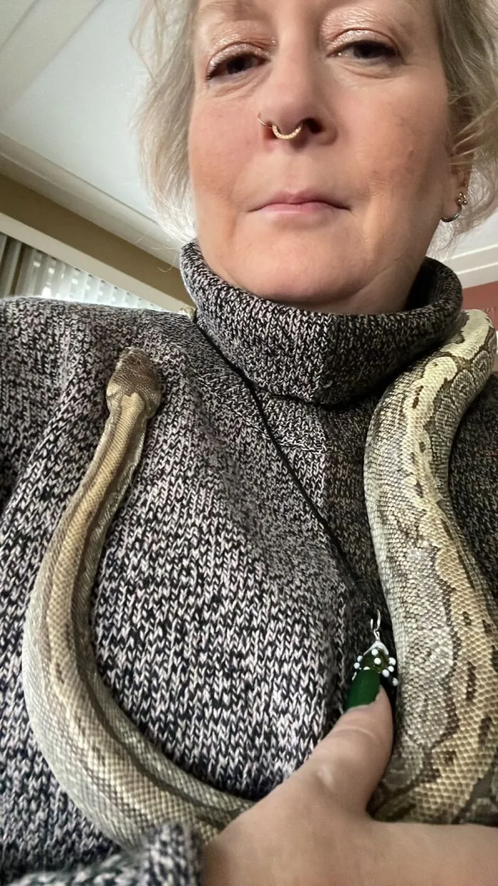 Sly, My Ball Python. He’s A Derp And A Good Boy!