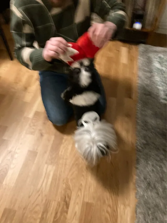 Looking At Me While Playing With Dad