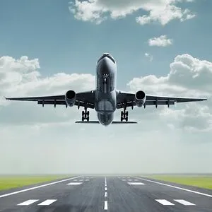 Aviation Panda