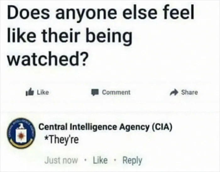 And Alexa Laughed. Cortana Chuckled. Hey, Google Giggled. Siri Snickered