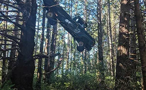 50 Times People Found Something Wild And Unexpected While Strolling Through The Forest