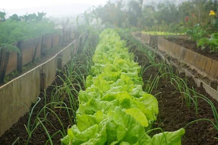 "It Used To Be Peasant Food": 30 People Share What Products They Can No Longer Afford