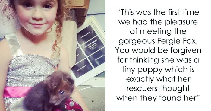 A Family-Run Farm Adopted A Rescue Fox That Has Formed An Inseparable Bond With An 11-Year-Old Girl