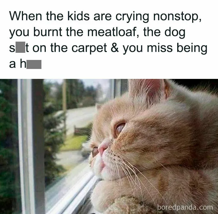 This Instagram Page Is Dedicated To Honest “Millennial Mom Confessions”, Here Are 50 Of The Best Ones (New Posts)