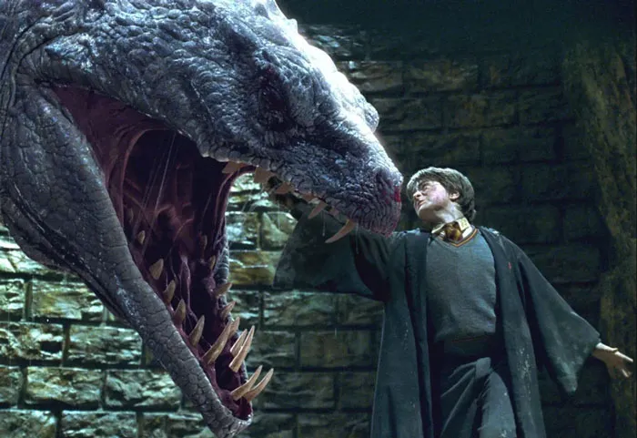 Harry Potter And The Chamber Of Secrets (2002)