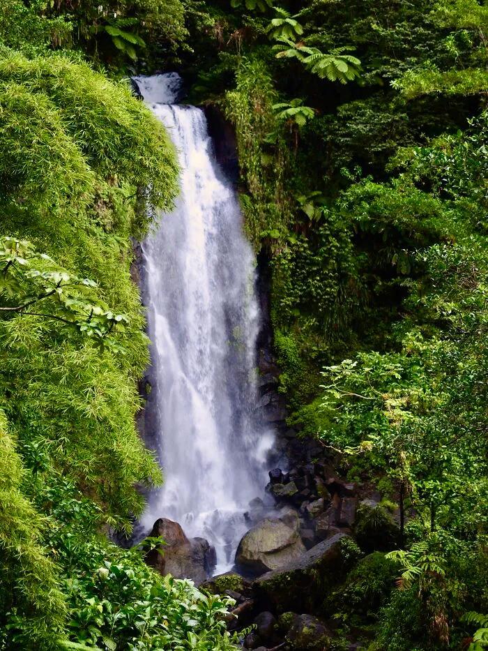 The Smaller Of The Twin Waterfalls At Trafalgar Falls