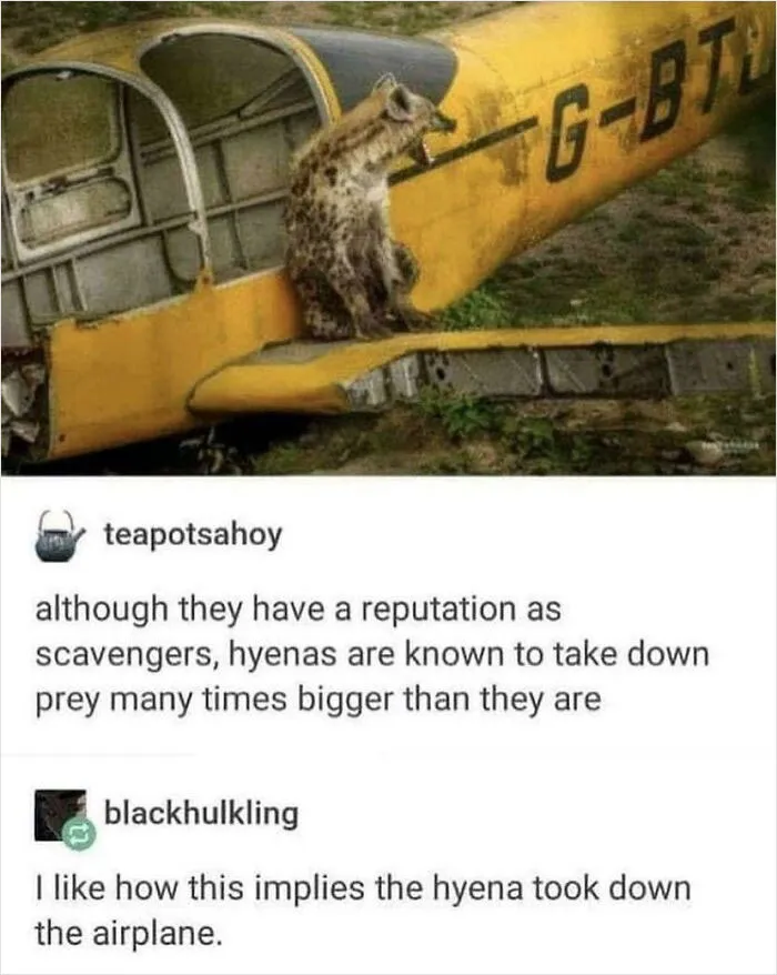 Haha Yes Tumblr Moment