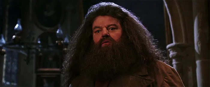 Harry Potter - Robbie Coltrane