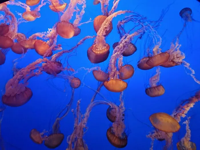 30 Of The Most Unusual, Most Mysterious, Or Just Weird Things Seafarers Ever Experienced During Their Journeys