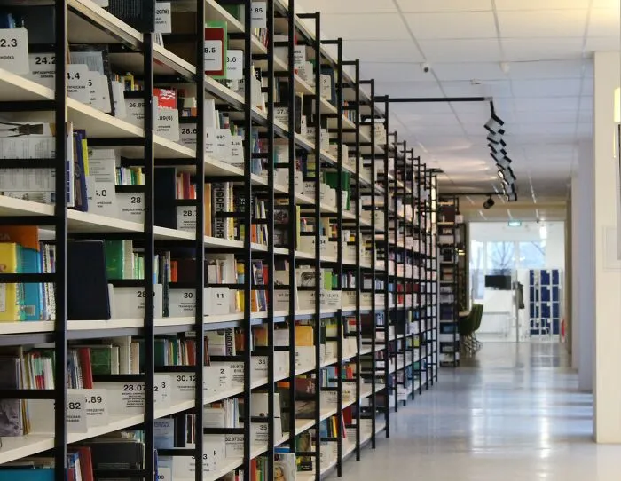 Library's Hall With A Lot Of Books 