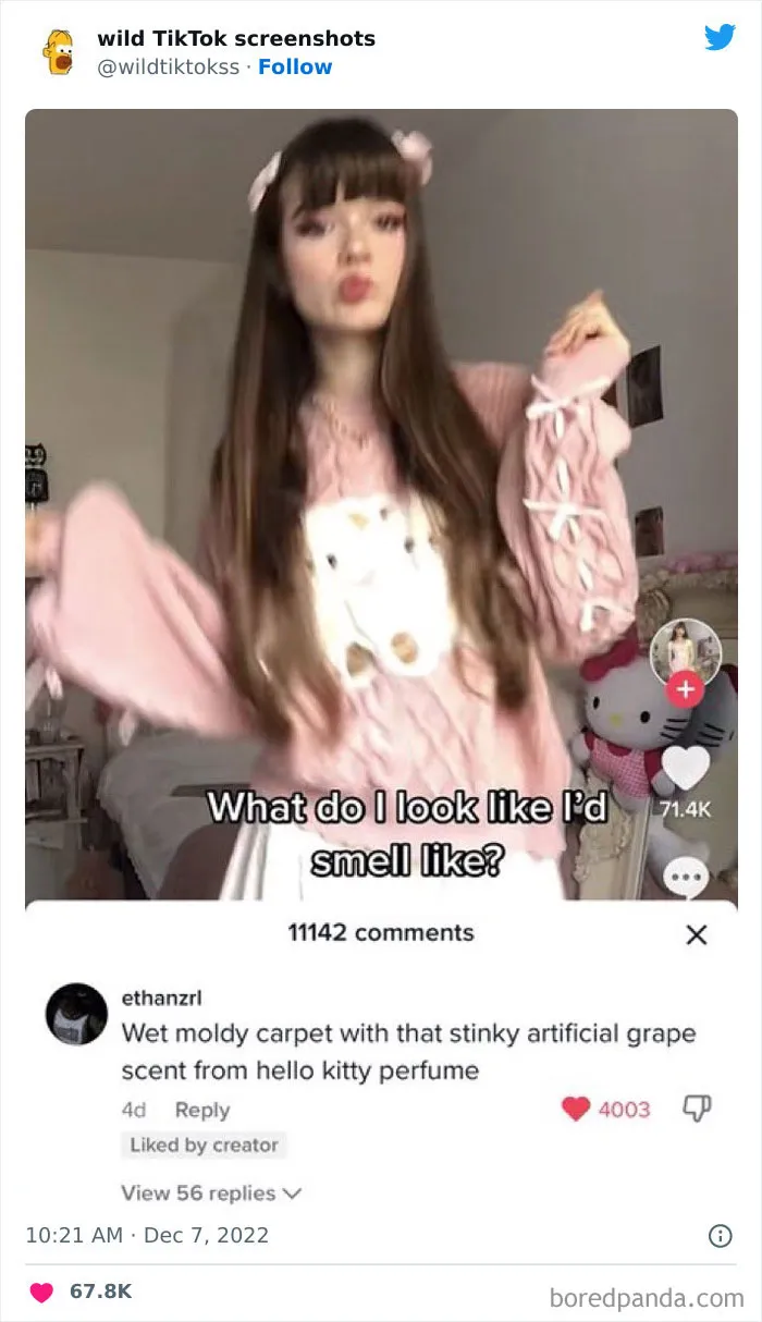 35 Unbelievable Posts On The ‘Wild TikTok Screenshots’ Twitter Page To Make You Question Everything (New Pics)