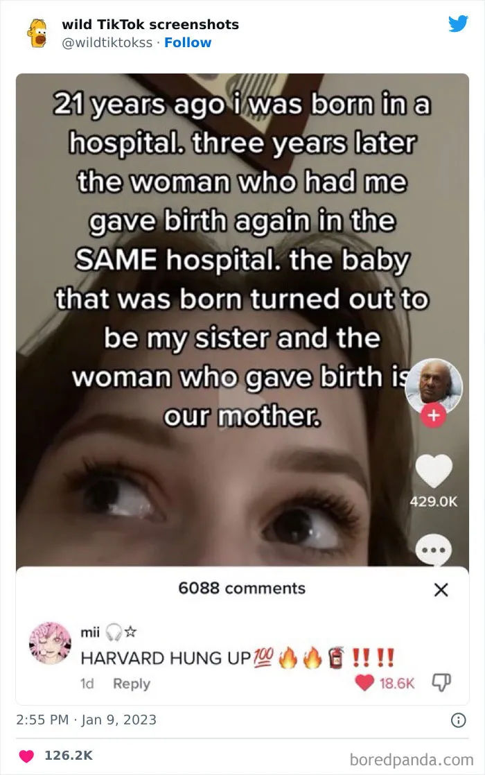 35 Unbelievable Posts On The ‘Wild TikTok Screenshots’ Twitter Page To Make You Question Everything (New Pics)
