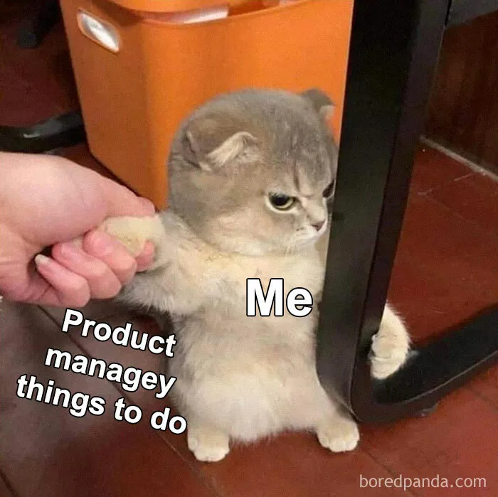 30 Painfully Hilarious “Product Manager Problems” That Seriously Test Their Nerves At Work