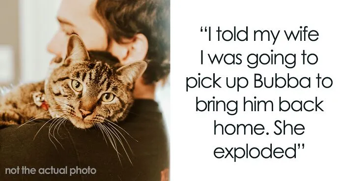 "Her Or The Cat": Man Asks For Advice After Wife Who Went Through Stillbirth Refuses To Allow His Beloved Pet Back In The House