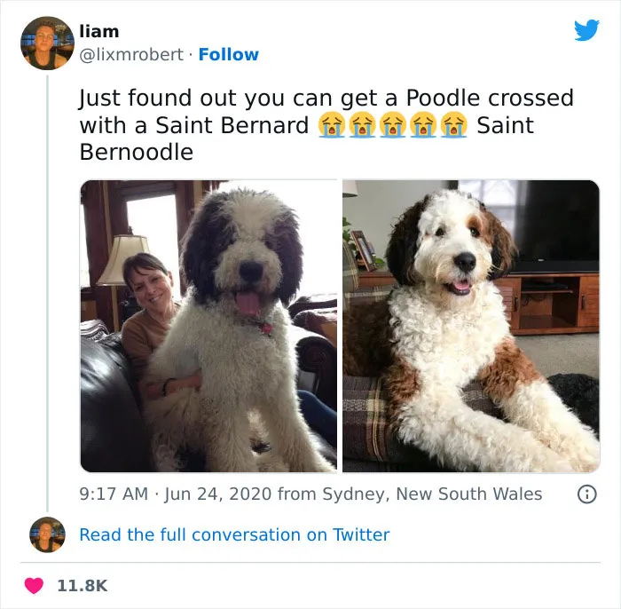 50 Hilarious Memes For People To Relate To, As Shared By This Account With 4.1M Followers