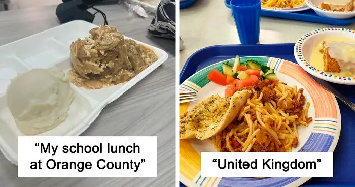 These School Lunches Around The World Left People Divided