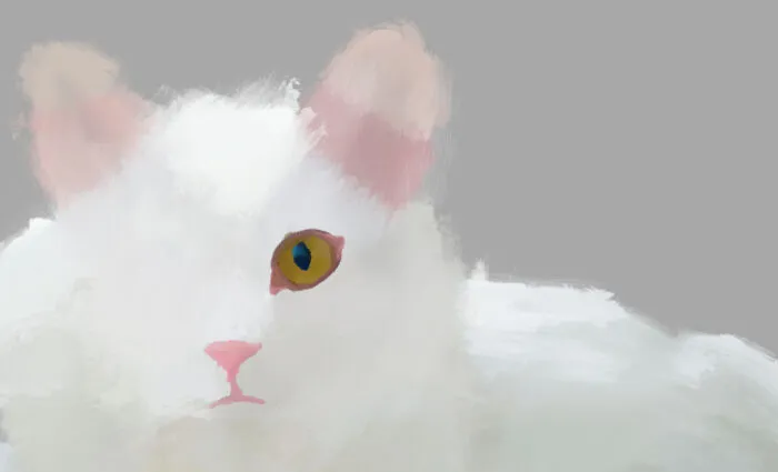 My Art But Not My Cat