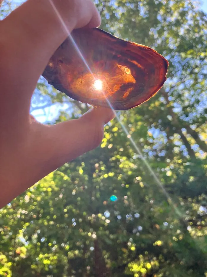 (Also) Cape Cod, This She’ll Had A Hole In It So I Put It Over The Sun