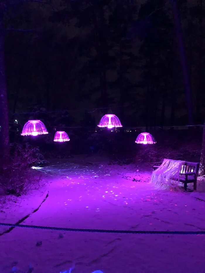 Taken During A Visit To Lumina Park In Lithuania