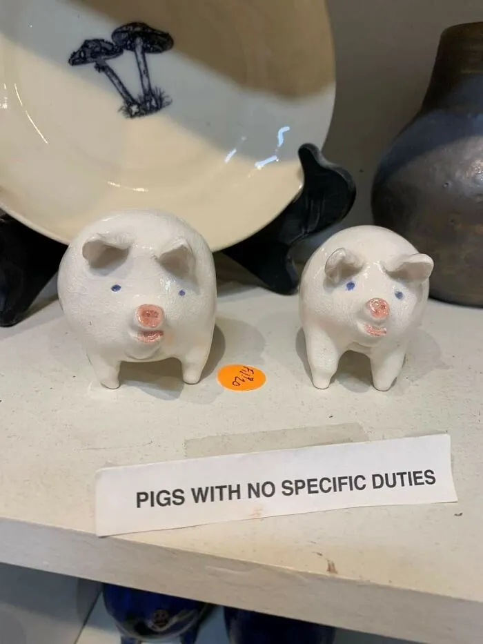 This Is Supposed To Be Ask Panda