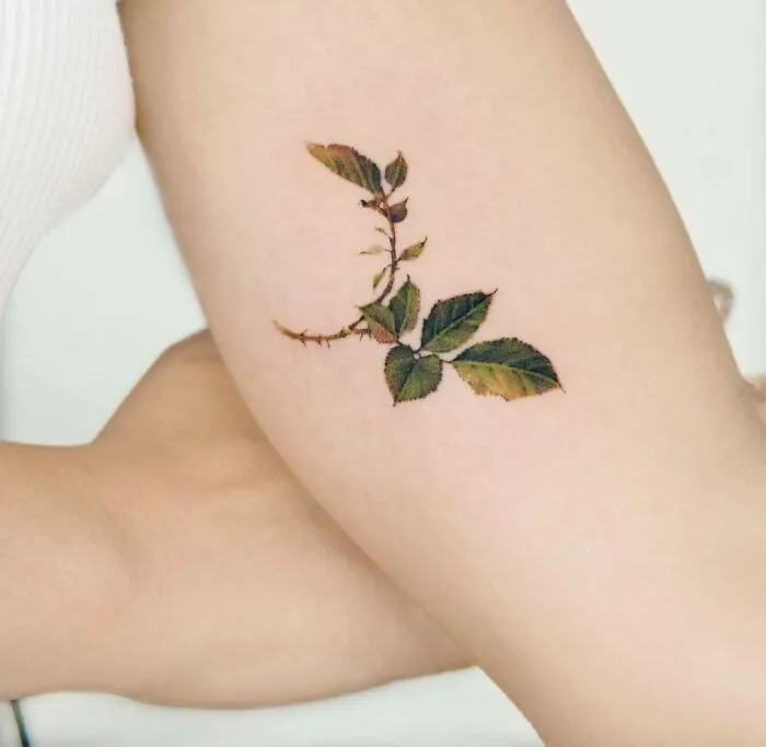 Delicate leaf watercolor tattoo on inner arm, showcasing intricate natural design.