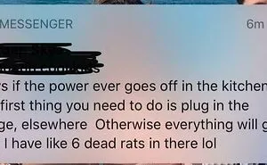 30 Screenshots Of Roommates From Hell Showing Their True Colors