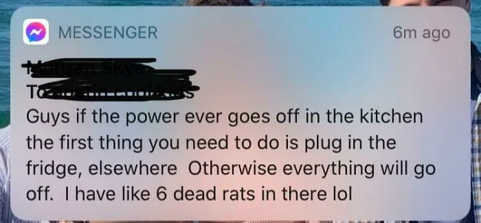 They’re Not For A Snake, They’re Her Dead Pet Rats That She Kept In Our Fridge. Pet Semetary Maybe??