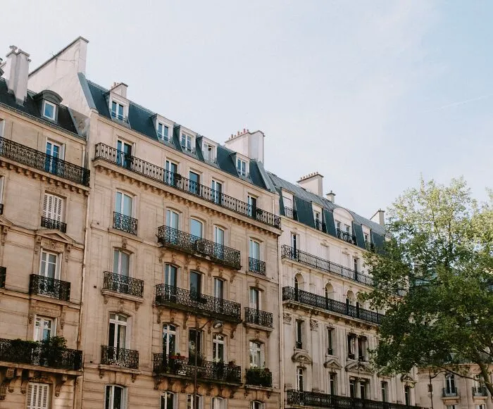 A Painting By Boldini Was Found Inside In A Paris Flat Which Was Locked For 70 Years