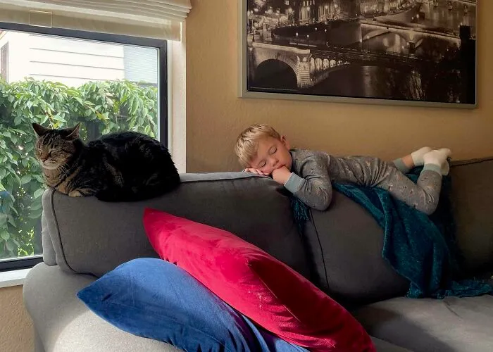 My Son Has Learned A Lot From His Babysitter