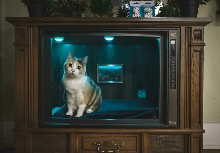 An Old TV Repurposed Into A Cat Bed