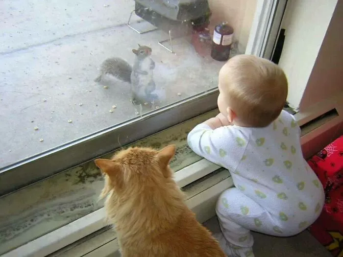 Baby, His Cat And A Squirrel