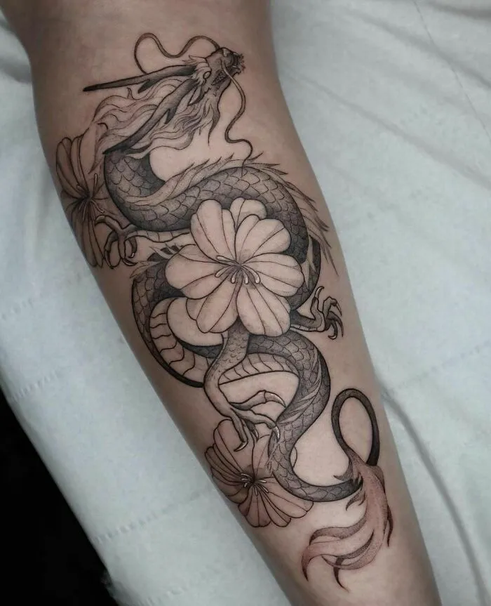 Beautiful Dragon Piece