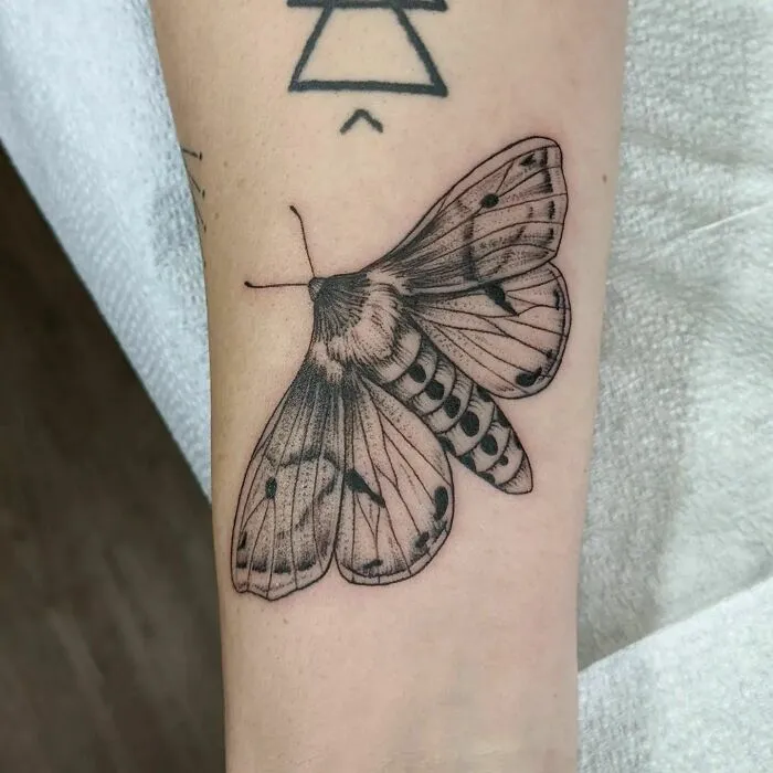 Nature tattoo of a detailed moth on forearm, showcasing appreciation for the wonders of Mother Earth.