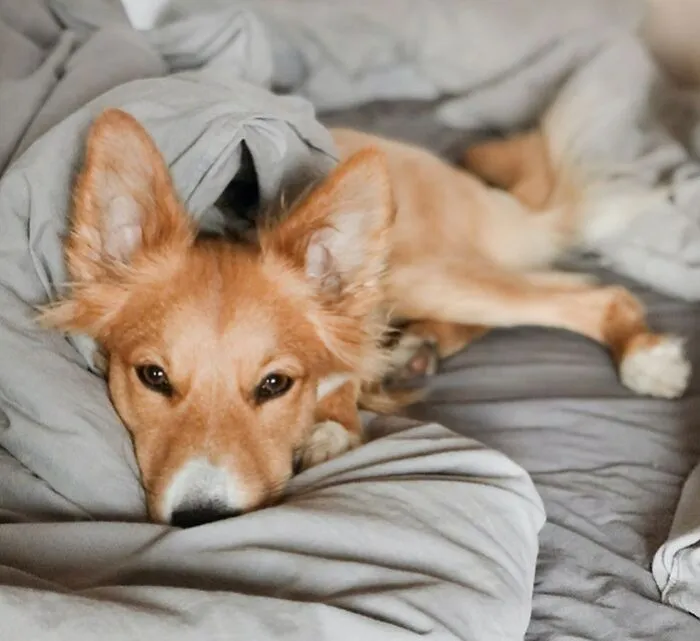 Sleeping In Your Bedroom