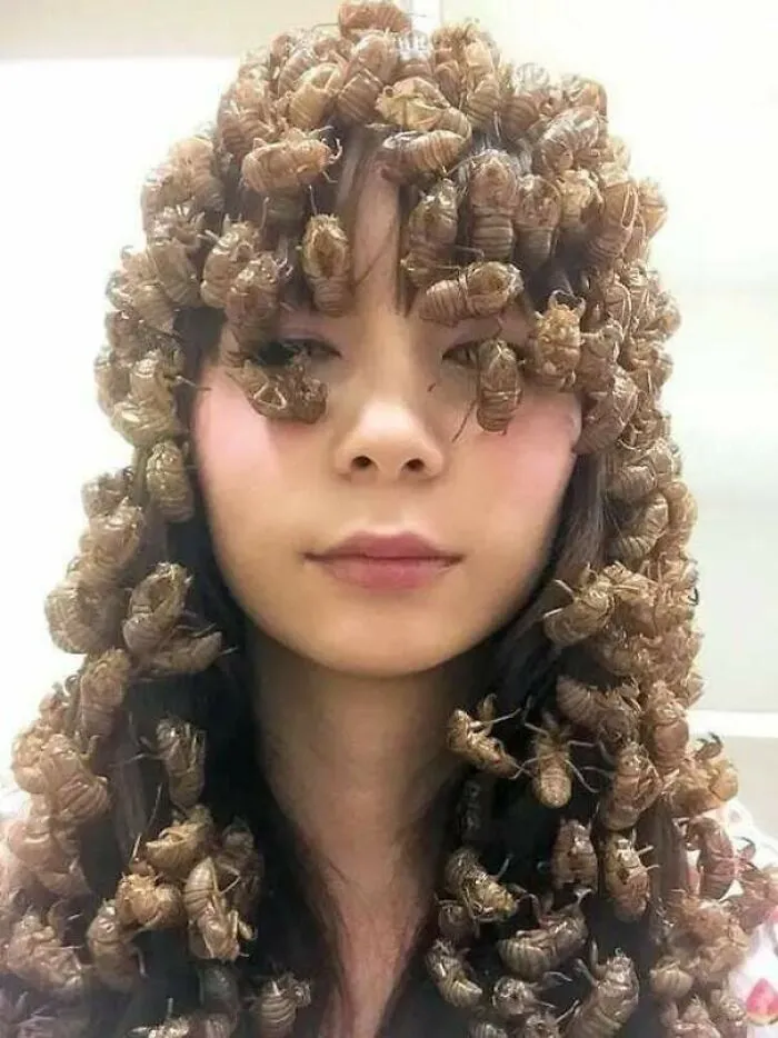 Corte de pelo maldito