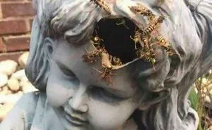 50 Times People Saw Such 'Cursed' Images, They Just Had To Share Them In This Online Group
