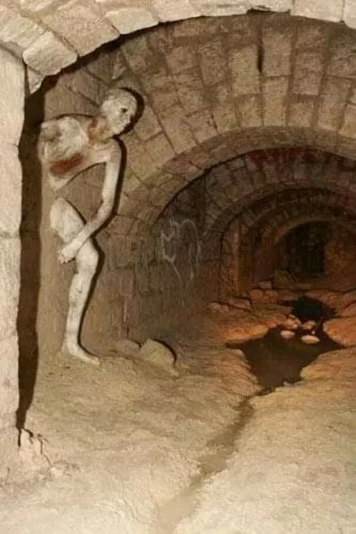 Cursed_noclip