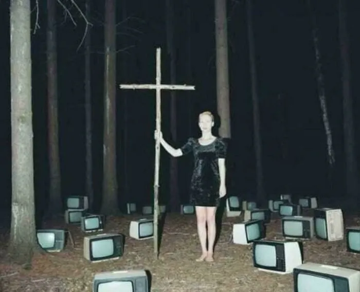 Bosque maldito