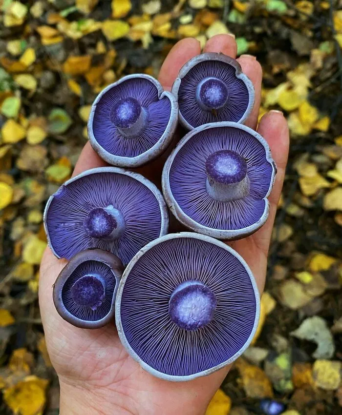 Mother Nature At Her Best