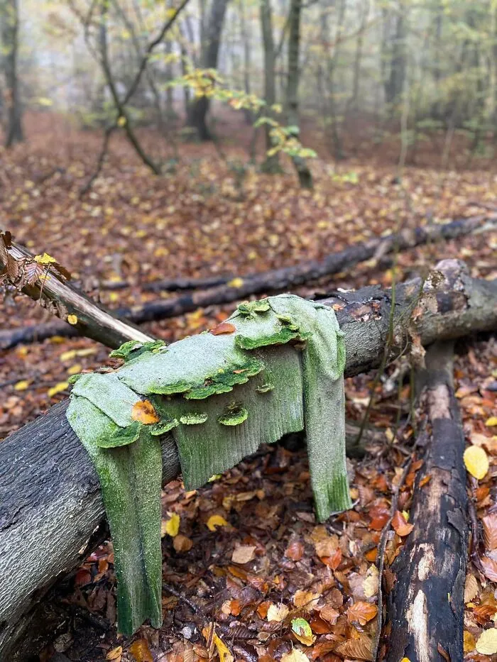 Friend Just Sent Me This, What Shall We Assume It Is?