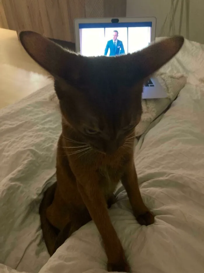 Fully Engaged