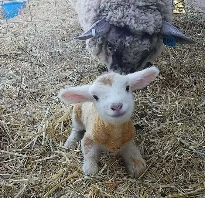 Hello World, 15 Minutes Old